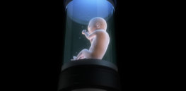 ectogenesis artificial womb technology