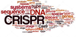 stock photo crispr cas system for editing regulating and targeting genomes biotechnology and genetic