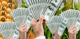 Slide GMO Sell Outs