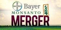 Bayer MonsantoMerger