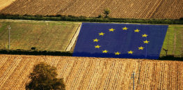 Enlargement of the EU to the Western Balkans negotiations on agriculture