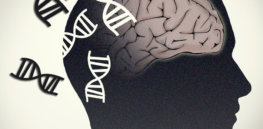 brain NHGRI