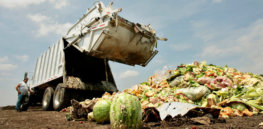 food waste opt