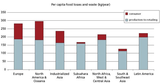 Food consumption per adult per year