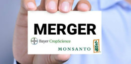 merger