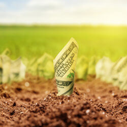 money growing from the ground Newsletter