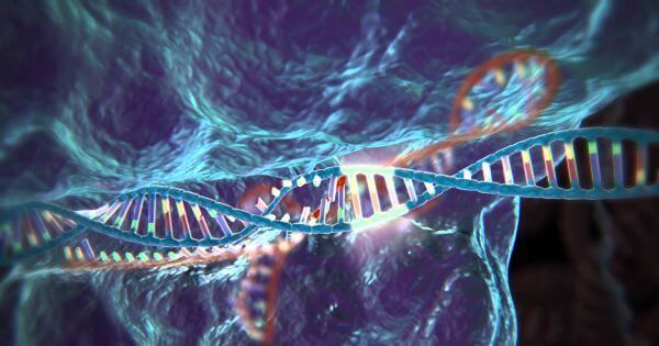 CRISPR-Cas9 editing a strand of DNA