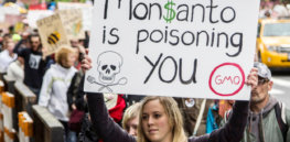 june monsanto e