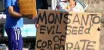 Monsanto Protester