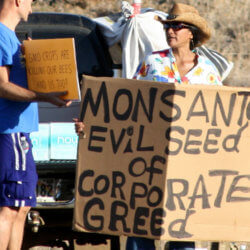 Monsanto Protester