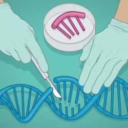 gene editing