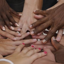 o DIVERSITY facebook