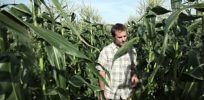 Agricultural economist: GMO crops have benefits, otherwise farmers wouldn't grow them