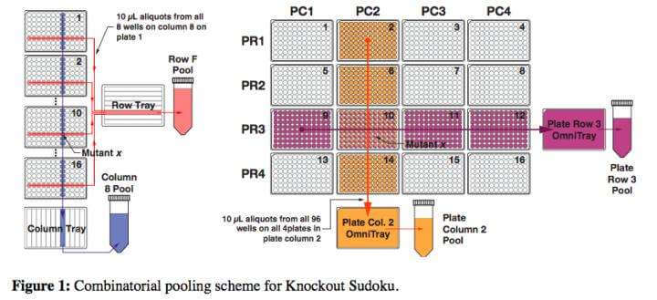 A combinatorial pooling scheme. Credit: Barstow lab