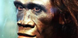 Extinct Human