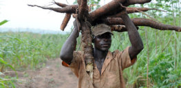 February Nigerian farming e x