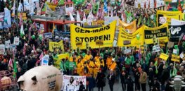 German GMO Protest