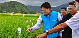 OPINION Biotech Crops Provide Food Security In Southeast Asia
