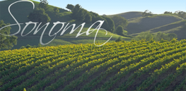 Sonoma VIP Wine tour