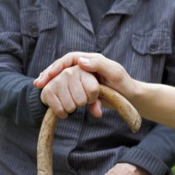 alzheimers disease