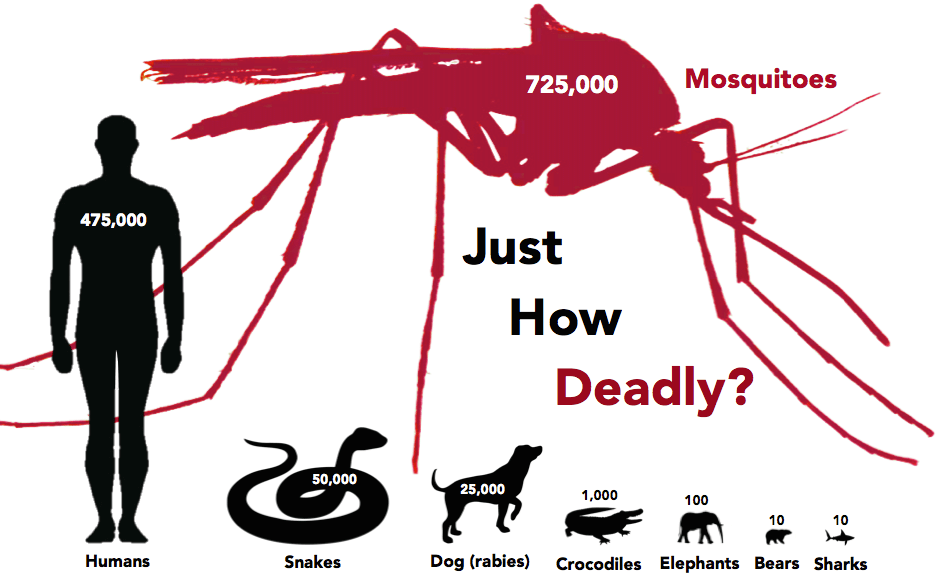 facts-about-mosquitoes-number-of-deaths