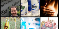 glp web