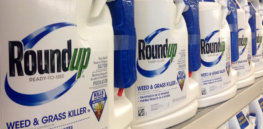 Does the herbicide glyphosate cause cancer? The GLP does a deep dive into the science