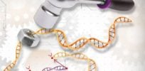 CRISPR Cas e