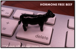 hormone-free-beef