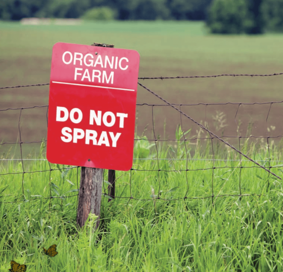 Pestcides In Organic Farming for Beginners