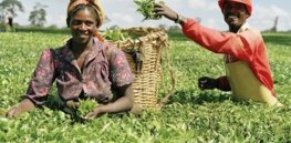 agric x