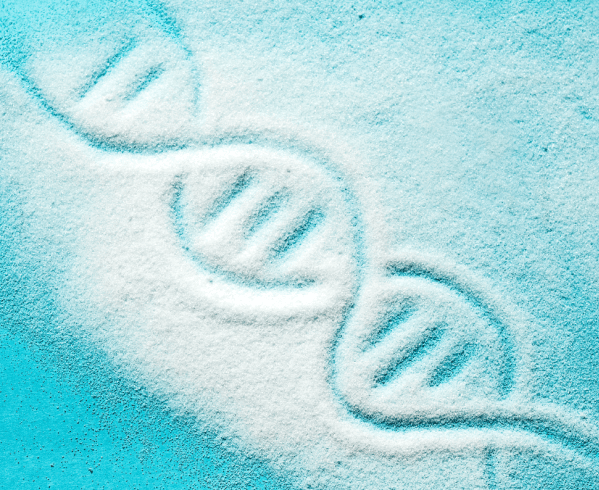 Sugar Genetics ILL DQ homepage
