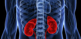 Risk of kidney failure could be predicted by DNA coding