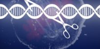 CRISPR Cancer HeroArt
