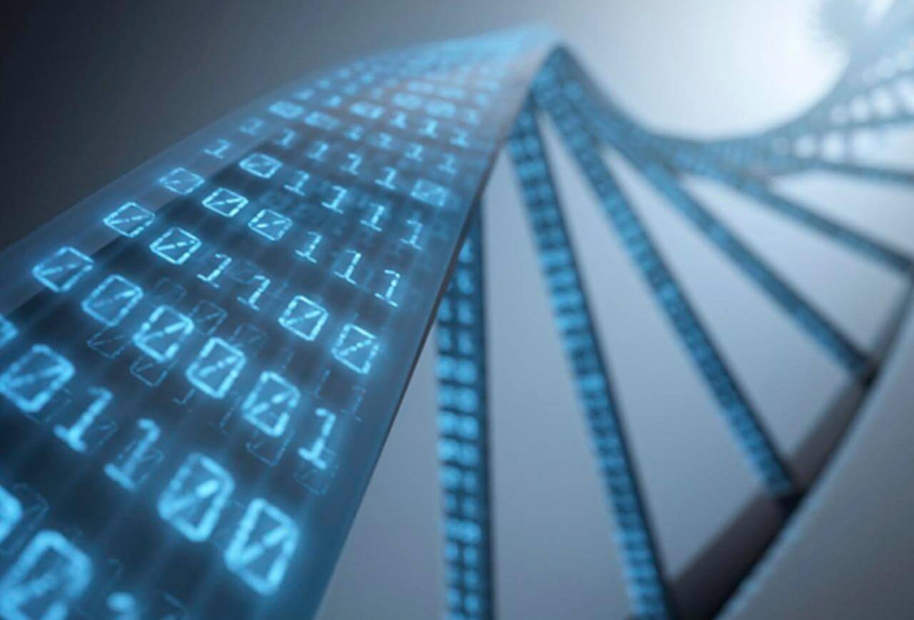 DNA x