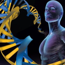 HumanGenome