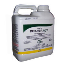 dicamba