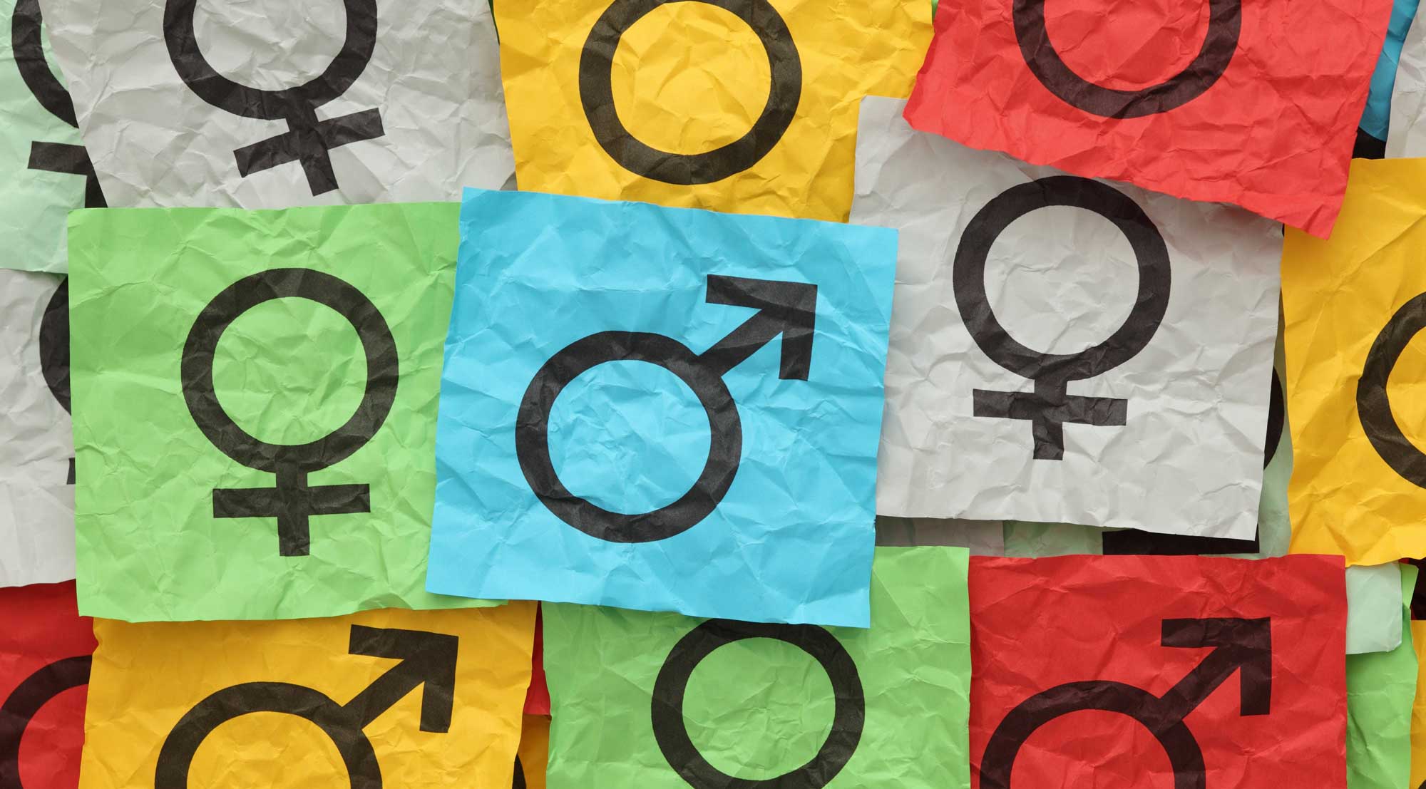 Sex And The Gender Spectrum How Genetics Help Determine Gender Free 