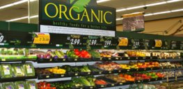 organic grocery food section