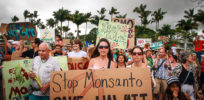 stop Monsanto
