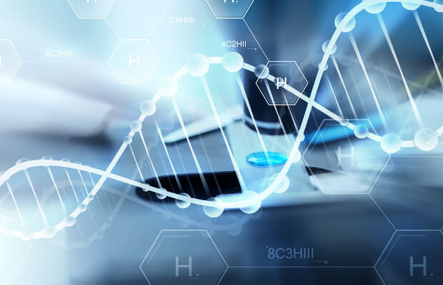 syda productions shutterstock com