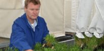 High-yield, environmentally-friendly GMO ryegrass moved to US for field trials due to New Zealand's strict biotech laws