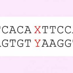 genetic