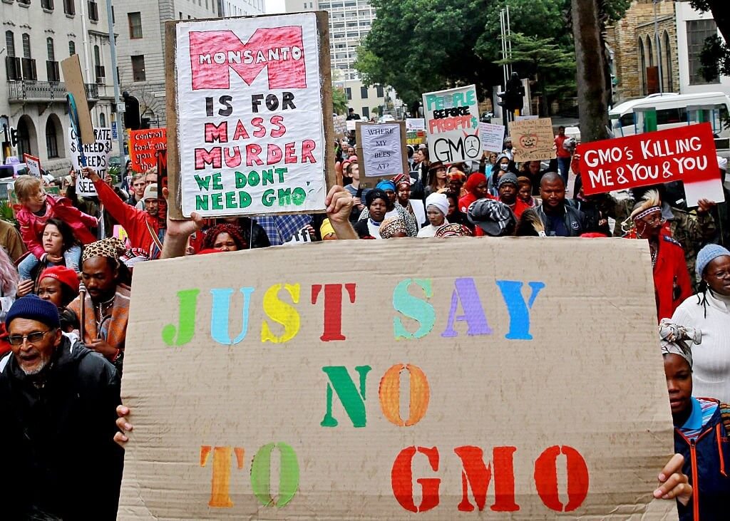 Only Conspiracy Theories Left To Challenge Science Consensus That GMOs ...