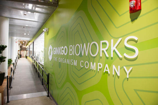 inline i slide inside the biotech startup thats bringing organism design