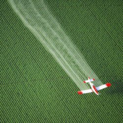 CropDuster iStock BrianBrownImages e