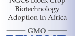 RETITLED CAPS REVISED Biotechnology Adoption in Africa Featured Image