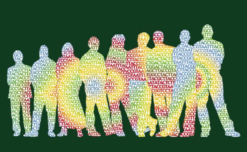 dna sequencing genes