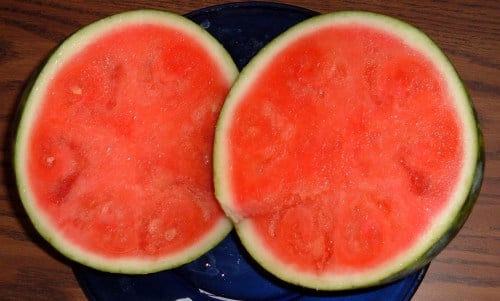 gmo watermelon after