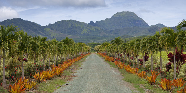 n HAWAII FARM x